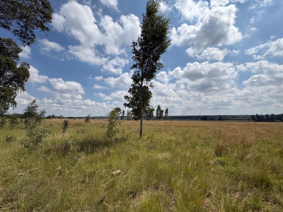 0 Bedroom Property for Sale in Vaalpark Free State